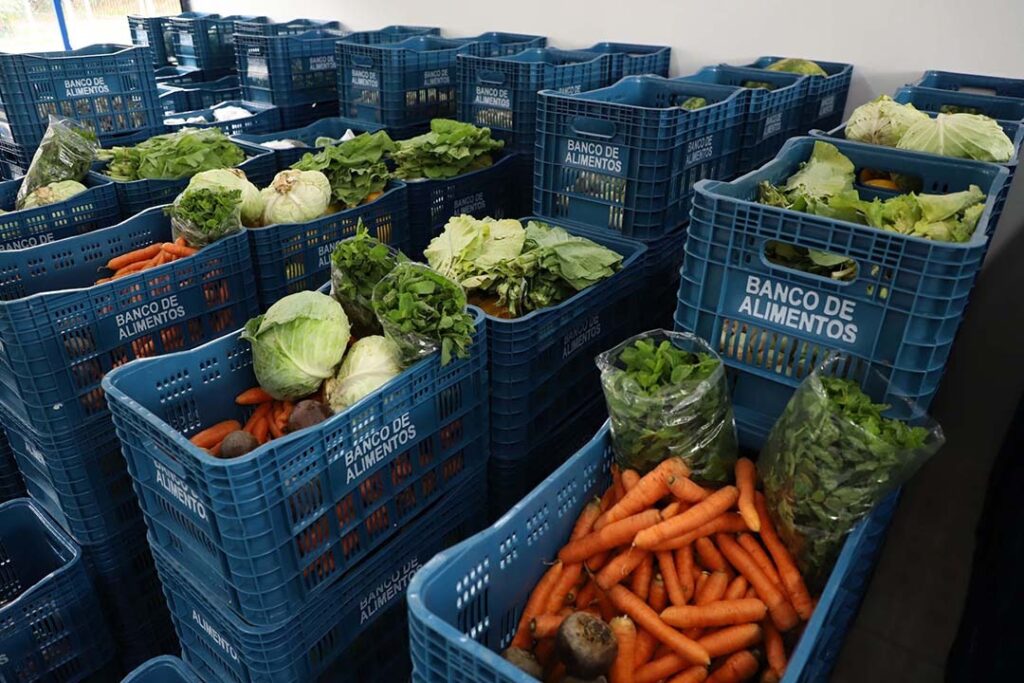 Imagem Ilustrando a Notícia: Condições climáticas afetam oferta de frutas e hortaliças