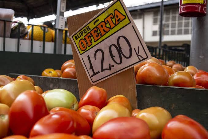 Imagem Ilustrando a Notícia: Com instabilidade no campo, tomate chega mais caro na mesa do consumidor