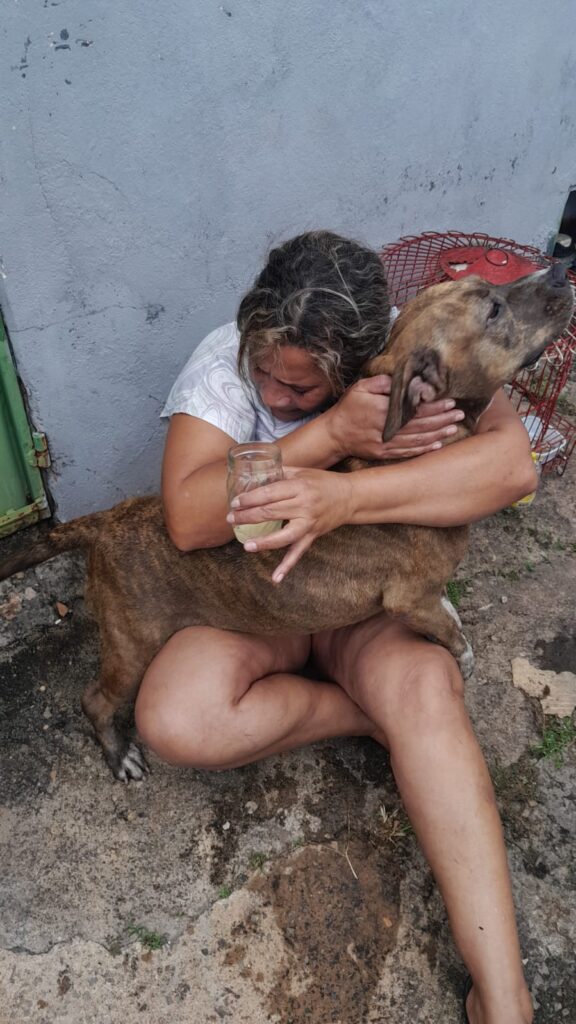 Imagem Ilustrando a Notícia: Bombeiros de Anápolis resgatam cachorros em incêndio e tutora fica emocionada