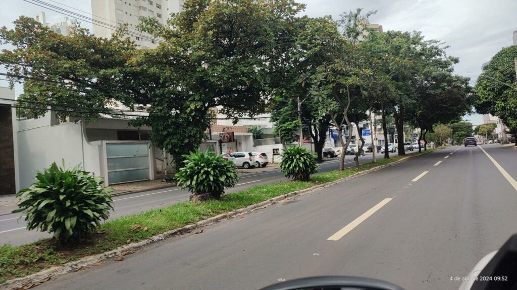 Imagem Ilustrando a Notícia: Começa o plantio de 295 árvores na T-9, em Goiânia
