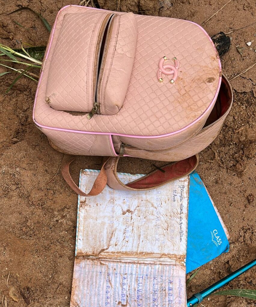 Imagem Ilustrando a Notícia: Bombeiros encontram mochila de criança levada pela enxurrada