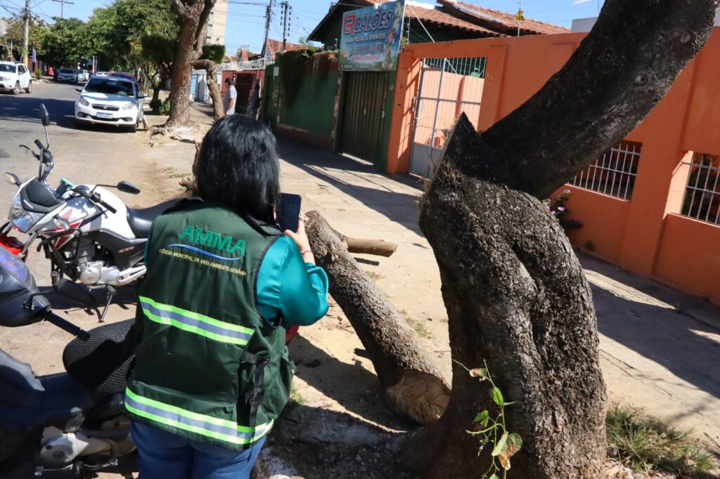 Imagem Ilustrando a Notícia: Plano Diretor de Arborização Urbana de Goiânia prevê multas para quem danifica árvores