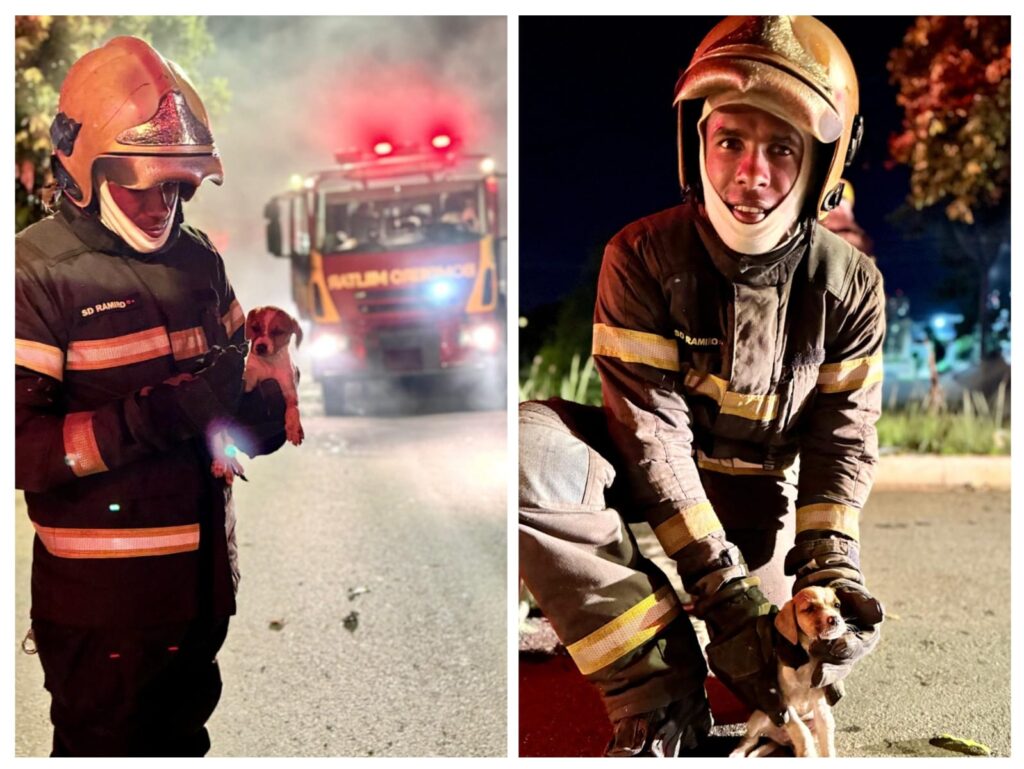 Imagem Ilustrando a Notícia: Morador de rua se emociona após bombeiros regatarem seu cãozinho de incêndio, em Goiânia 