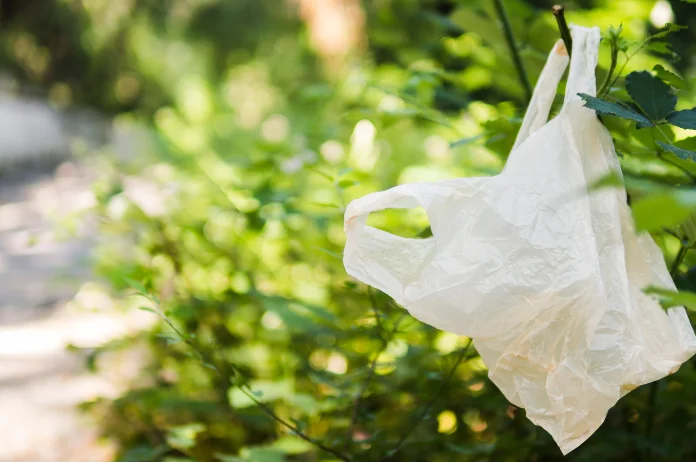 Imagem Ilustrando a Notícia: Quanto tempo leva para uma sacola plástica se decompor completamente?