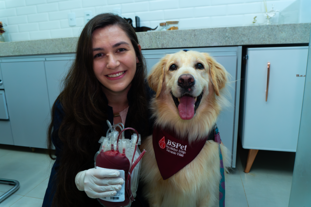 Imagem Ilustrando a Notícia: Em sua 16ª doação de sangue, cão é exemplo de solidariedade animal