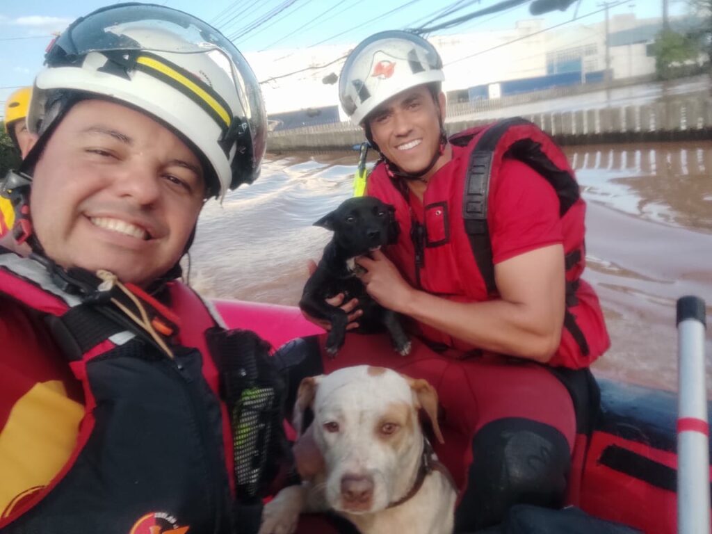 Imagem Ilustrando a Notícia: Bombeiros goianos iniciam trabalho de resgate no Rio Grande do Sul