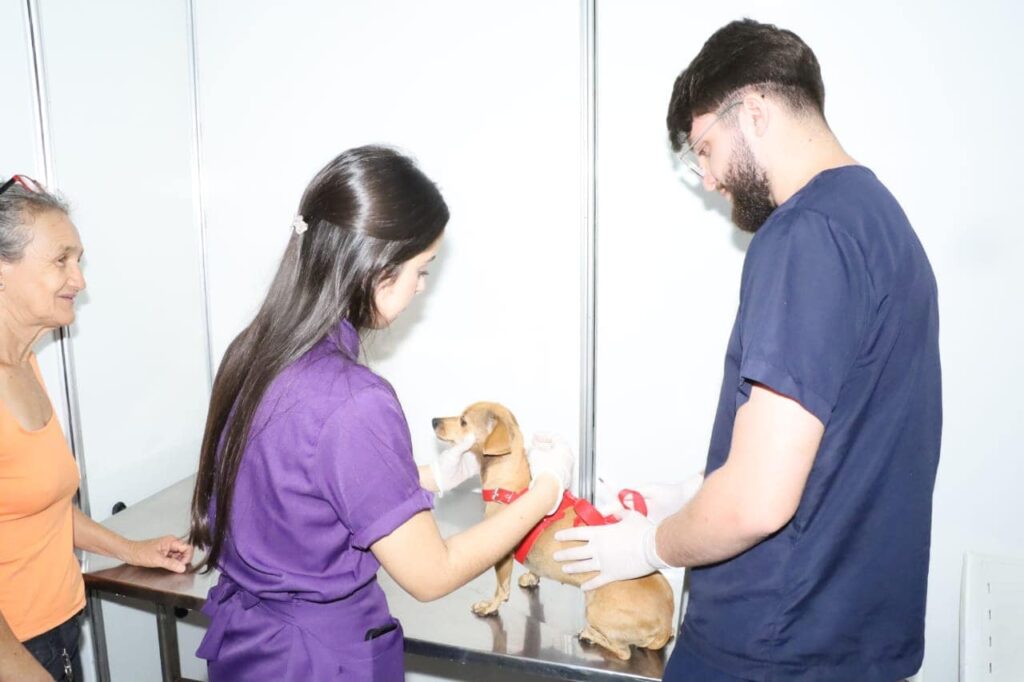 Imagem Ilustrando a Notícia: Cães e gatos terão consultas veterinárias gratuitas no Mutirão do Residencial Buena Vista