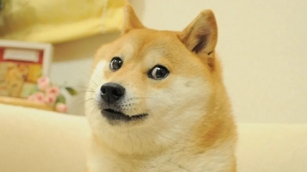 Imagem Ilustrando a Notícia: Morre cadela que inspirou memes e logo de criptomoeda