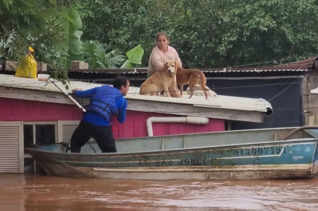 Imagem Ilustrando a Notícia: Cerca de 6 mil animais foram resgatados no Rio Grande do Sul