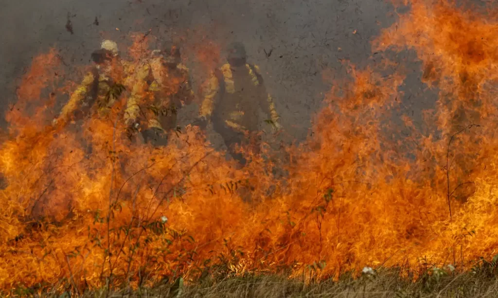 Imagem Ilustrando a Notícia: Quase 1/4 do território brasileiro pegou fogo nos últimos 40 anos