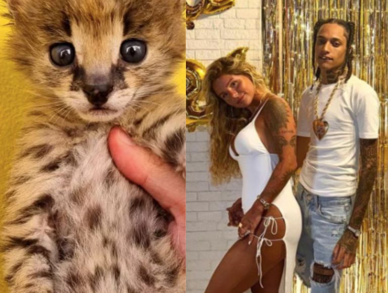 Imagem Ilustrando a Notícia: Oruam compra gato selvagem de R$ 120 mil para namorada; internautas criticam