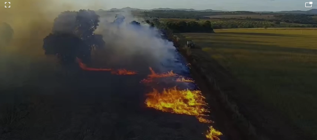 Imagem Ilustrando a Notícia: PRF flagra queimada criminosa às margens da BR-153 em Goiás