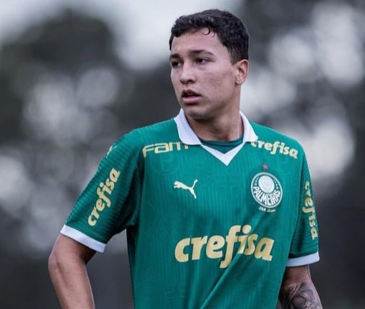 Imagem Ilustrando a Notícia: Atacante do Palmeiras já coleciona 15 gols em 16 jogos na base do clube