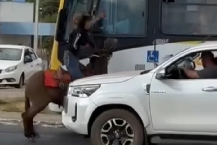 Imagem Ilustrando a Notícia: Motorista de ônibus e jovem a cavalo se envolvem em briga durante cavalgada