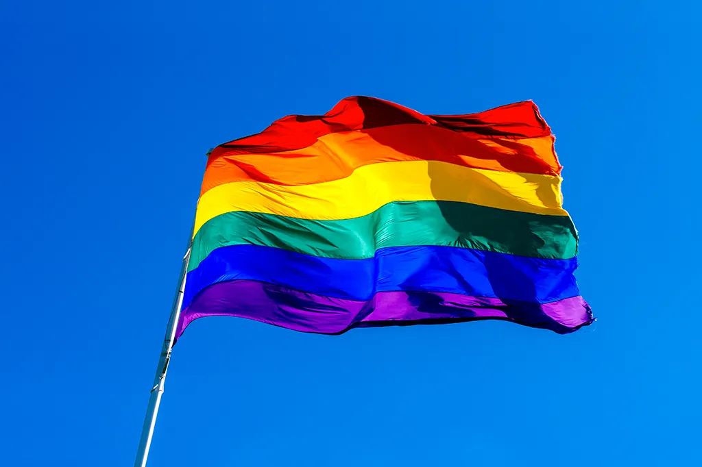 Imagem Ilustrando a Notícia: Descubra o que significam as cores da bandeira LGBTQIAPN+