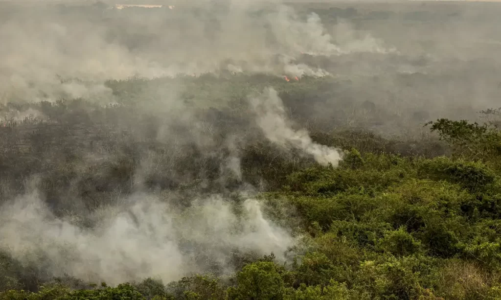 Imagem Ilustrando a Notícia: Força Nacional reforça equipe de combate a incêndios no Pantanal