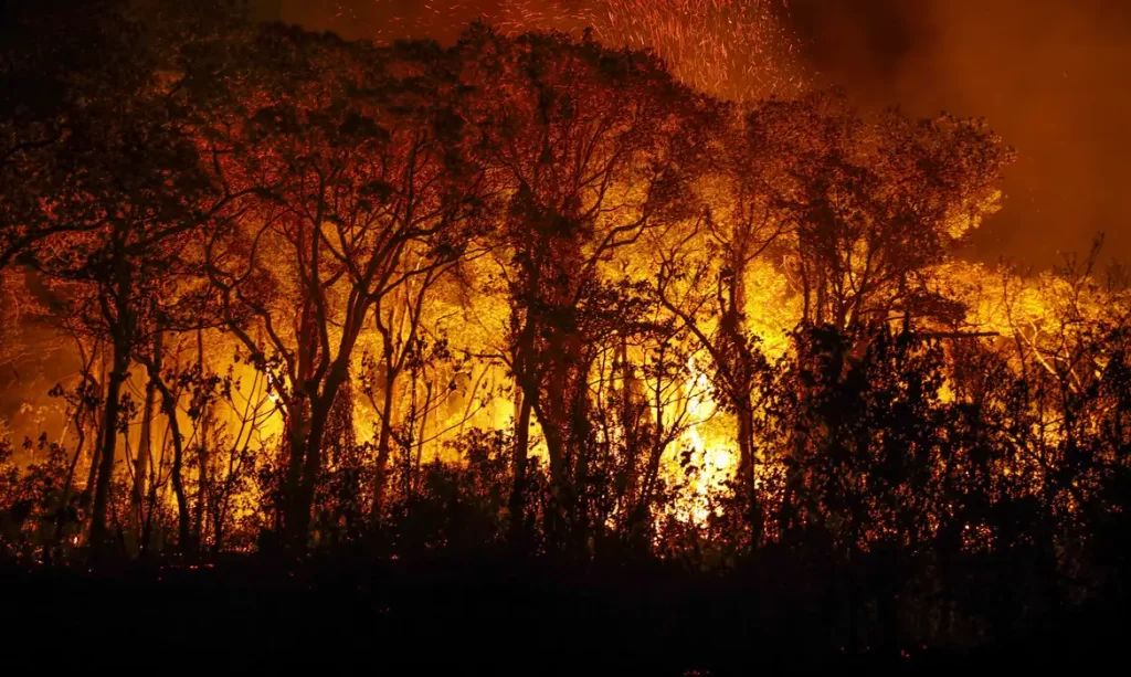 Imagem Ilustrando a Notícia: Incêndios no Pantanal: Governo do MS decreta emergência