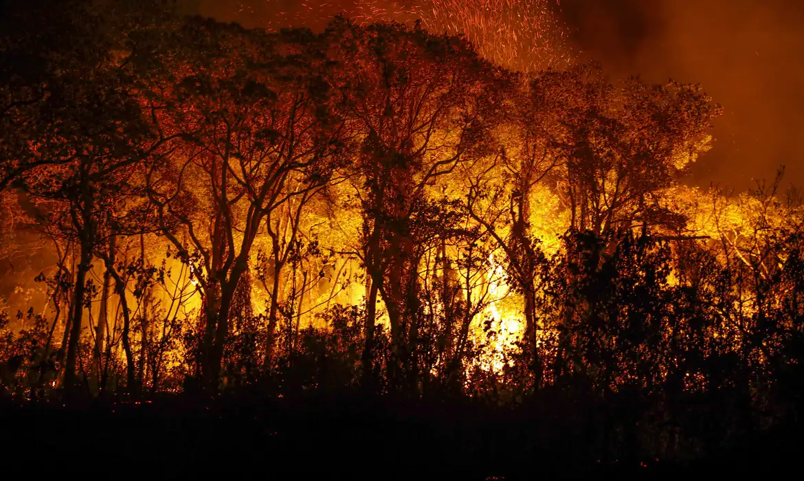 Pantanal apresenta mais de 1000 focos de incêndio em 2024