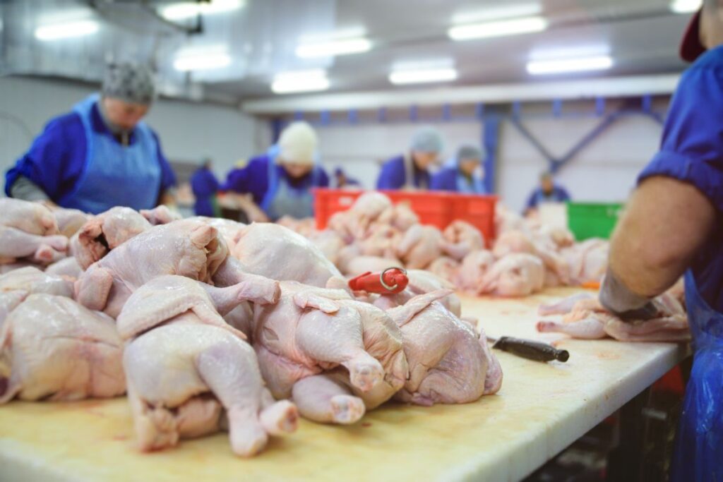 Imagem Ilustrando a Notícia: Governo suspende exportação da carne de aves após surto de doença