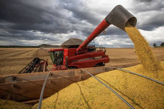 Imagem Ilustrando a Notícia: Produção de grãos deve alcançar 300 milhões de toneladas na safra 2023/2024