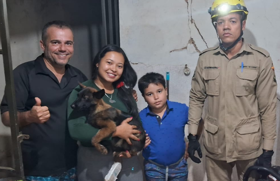 Imagem Ilustrando a Notícia: Bombeiros resgatam cachorro preso em portão, em Goiatuba