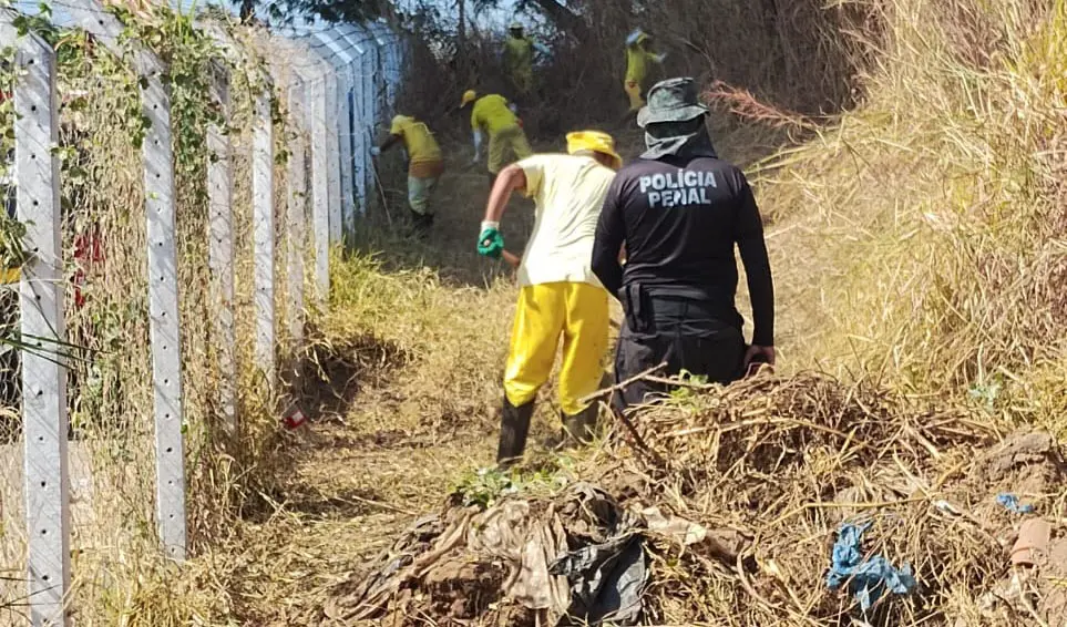 Imagem Ilustrando a Notícia: Mão de obra carcerária realiza roçagem e limpeza em Goiânia