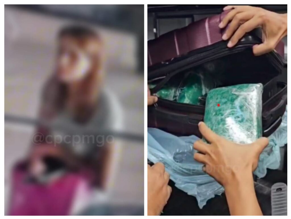 Imagem Ilustrando a Notícia: Mulher tenta despachar mala com R$ 120 mil em drogas na rodoviária de Goiânia 