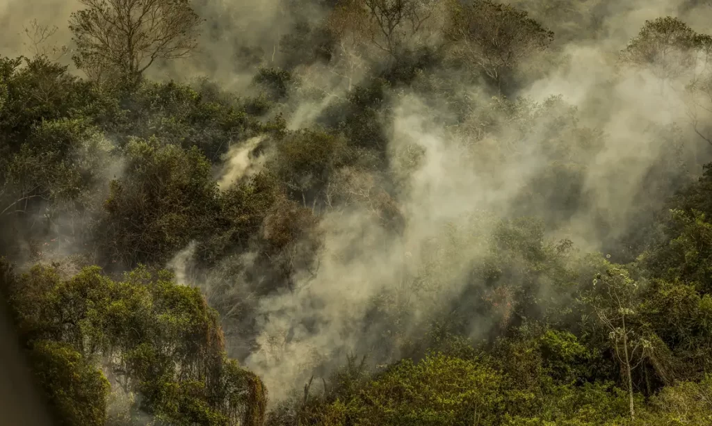 Imagem Ilustrando a Notícia: Pantanal: queimadas podem ter destruído 9% do bioma