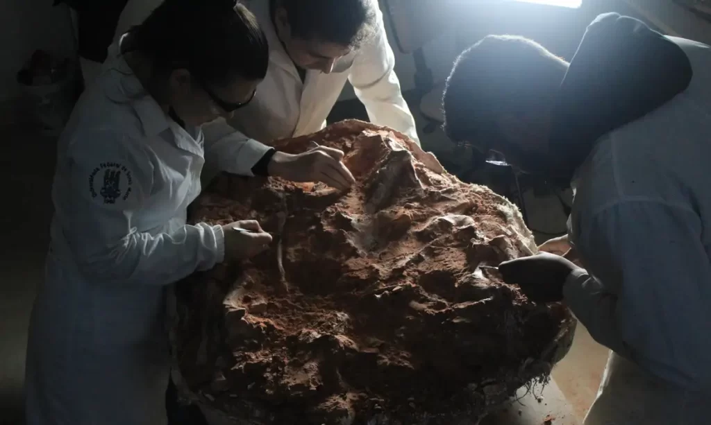 Imagem Ilustrando a Notícia: Fóssil encontrado no RS vai ajudar a entender a origem dos dinossauros