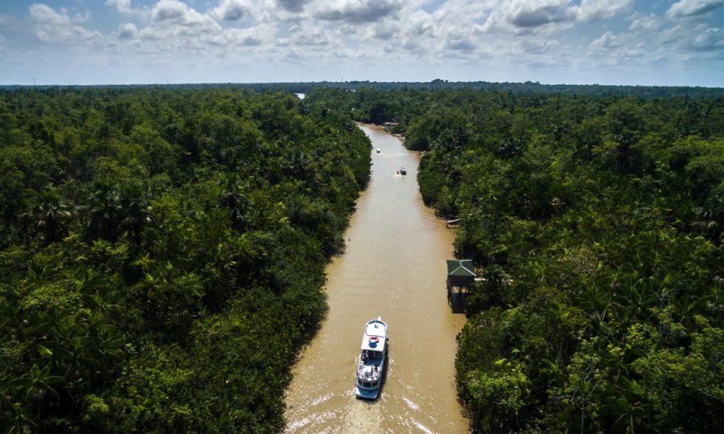 Imagem Ilustrando a Notícia: Governo Federal aprova concessão de florestas no Amazonas para setor privado