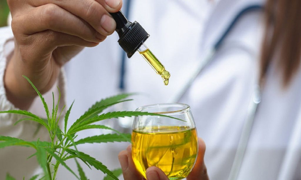 Imagem Ilustrando a Notícia: Câmara aprova regulamentação e distribuição de medicamentos a base de cannabis em Goiânia