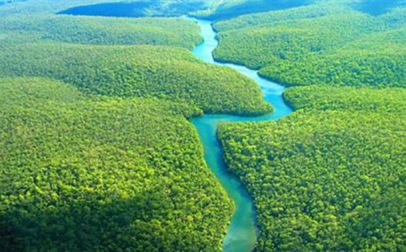 Imagem Ilustrando a Notícia: Fundo Amazônia destinou US$ 1 bilhão a projetos ambientais
