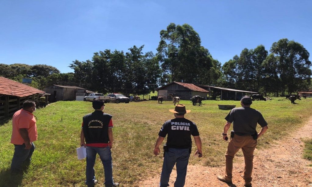 Imagem Ilustrando a Notícia: Polícia Civil e Agrodefesa recuperam 65 cabeças de gado roubadas em Goiás