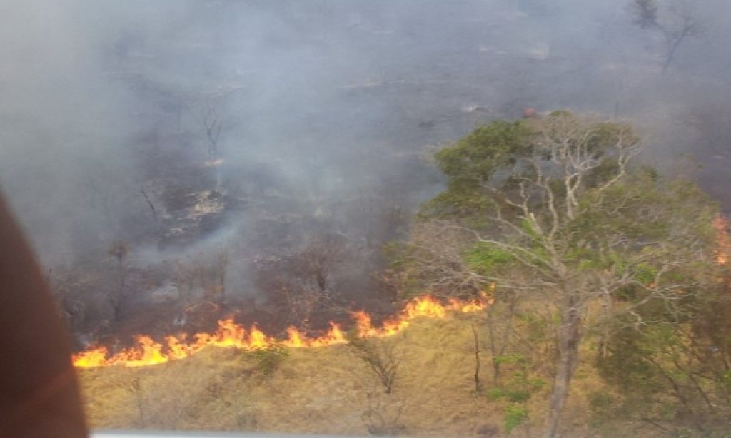 Imagem Ilustrando a Notícia: Incêndio no Parque Altamiro de Moura Pacheco está quase controlado