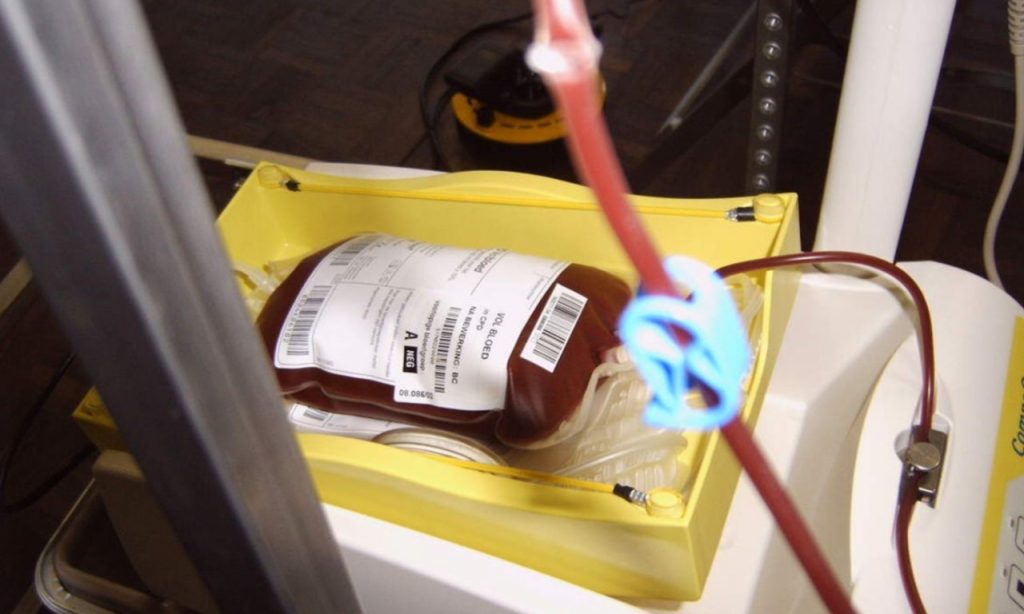 Imagem Ilustrando a Notícia: Governo Federal incentiva que doações de sangue aconteçam antes da vacina contra covid-19