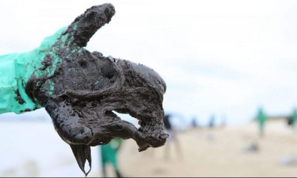 Imagem Ilustrando a Notícia: Câmara cria comissão para avaliar a contaminação do litoral do Nordeste por petróleo