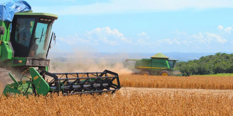 Imagem Ilustrando a Notícia: Safra de grãos chega a 232 milhões de toneladas e é segunda maio