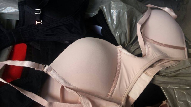 Imagem Ilustrando a Notícia: Polícia apreende 290 lingeries falsificadas em Goiânia