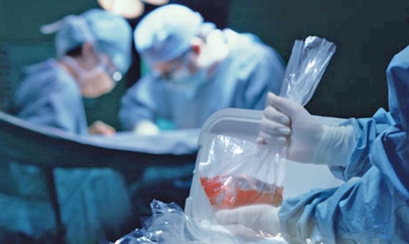 Imagem Ilustrando a Notícia: Crise faz número transplantes de órgãos cair em 2016, diz ministério