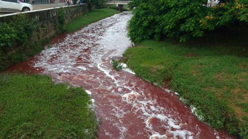 Imagem Ilustrando a Notícia: Secretaria de Meio Ambiente investiga risco de mortandade de peixes em Goiás
