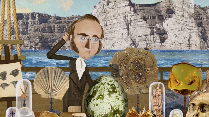 Imagem Ilustrando a Notícia: ‘Mentes Brilhantes’ esclarece as teorias de Charles Darwin de forma lúdica