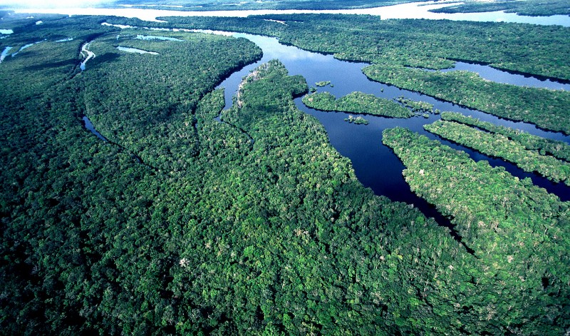 Imagem Ilustrando a Notícia: Reserva no Amazonas zera desmatamento e é considerada modelo no país e no mundo