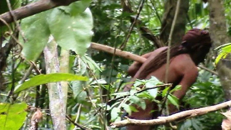 Imagem Ilustrando a Notícia: Funai divulga imagens de índio isolado na Amazônia