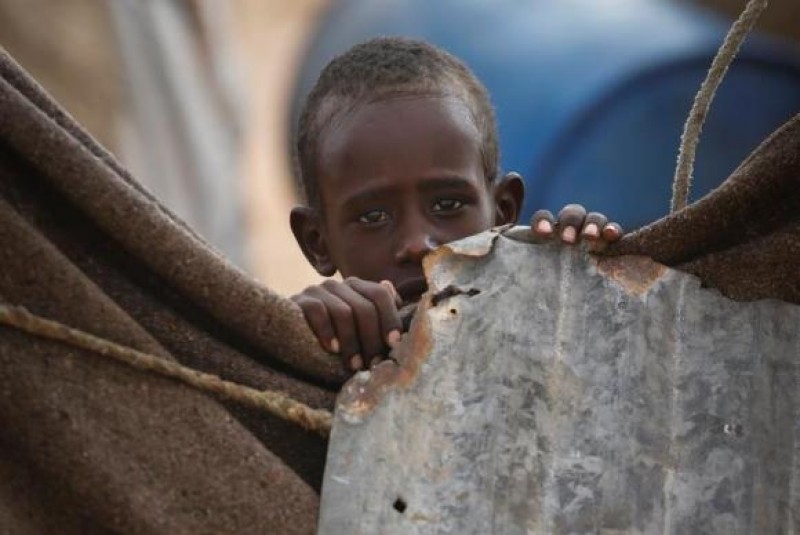 Imagem Ilustrando a Notícia: FAO pede US$ 1 bi para combater fome