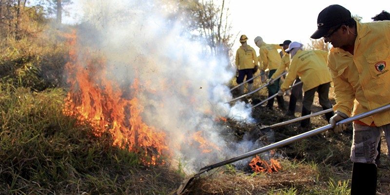 Imagem Ilustrando a Notícia: Goiás prepara ações de prevenção a incêndios florestais