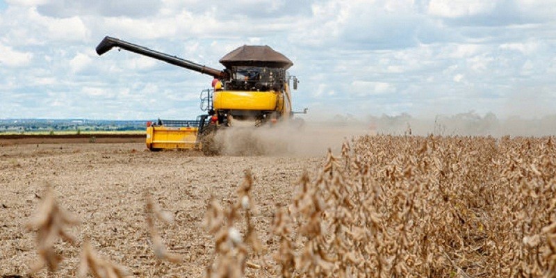 Imagem Ilustrando a Notícia: Puxada pelo milho, previsão da safra de grãos teve redução de 0,4