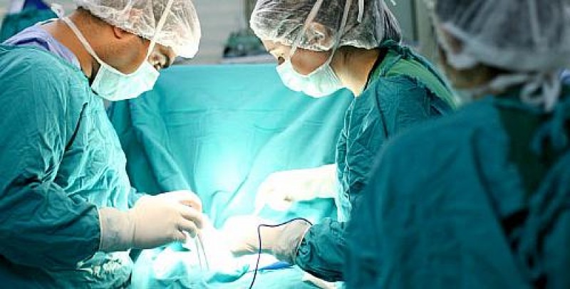 Imagem Ilustrando a Notícia: Goiás realizou 484 transplantes de órgãos