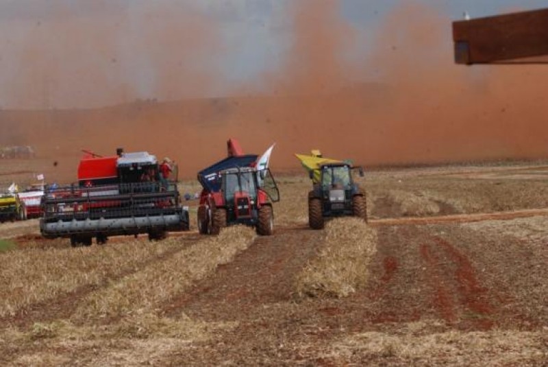 Imagem Ilustrando a Notícia: IBGE estima queda de 9,2% na safra de cereais de 2018
