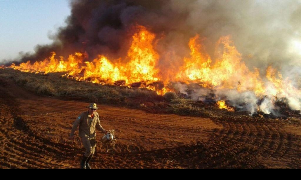 Imagem Ilustrando a Notícia: PF vai investigar “Dia do fogo” no Pará