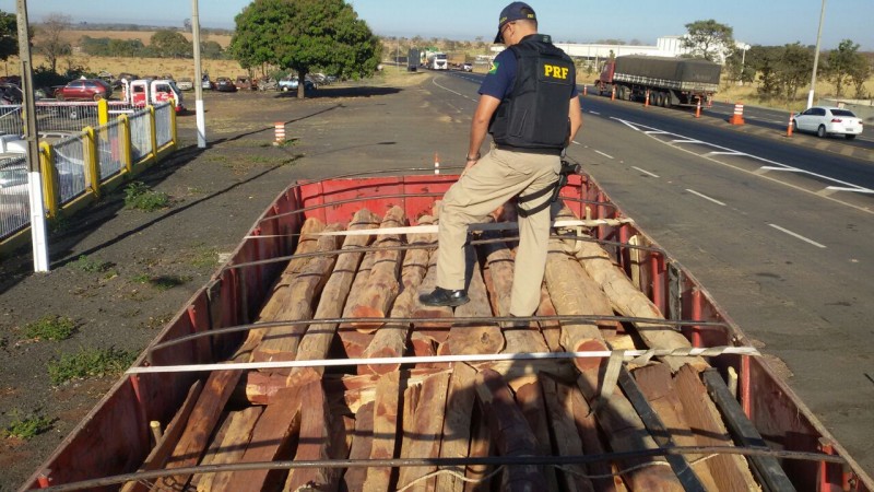 Imagem Ilustrando a Notícia: PRF apreende carga de madeira proibida